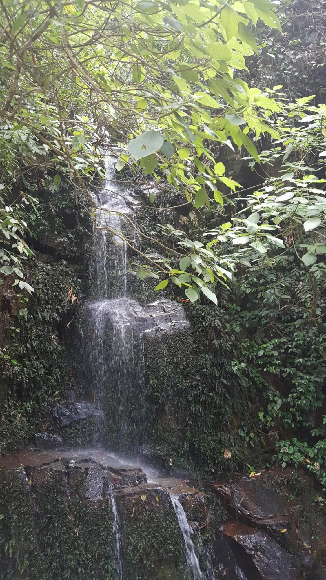 Harmonia Flat Particular Ilhabela Apartment Bagian luar foto
